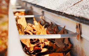Craigierig gutter cleaning companies
