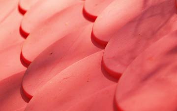 Craigierig plastic roof costs